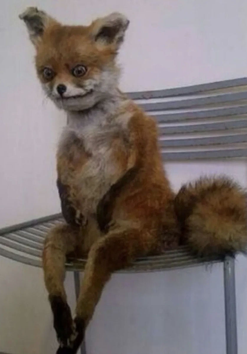 Источник фото Яндекс картинки 