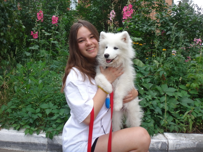 Старший инструктор Дог-центра Дружкова Юлия и самоед Чандра
