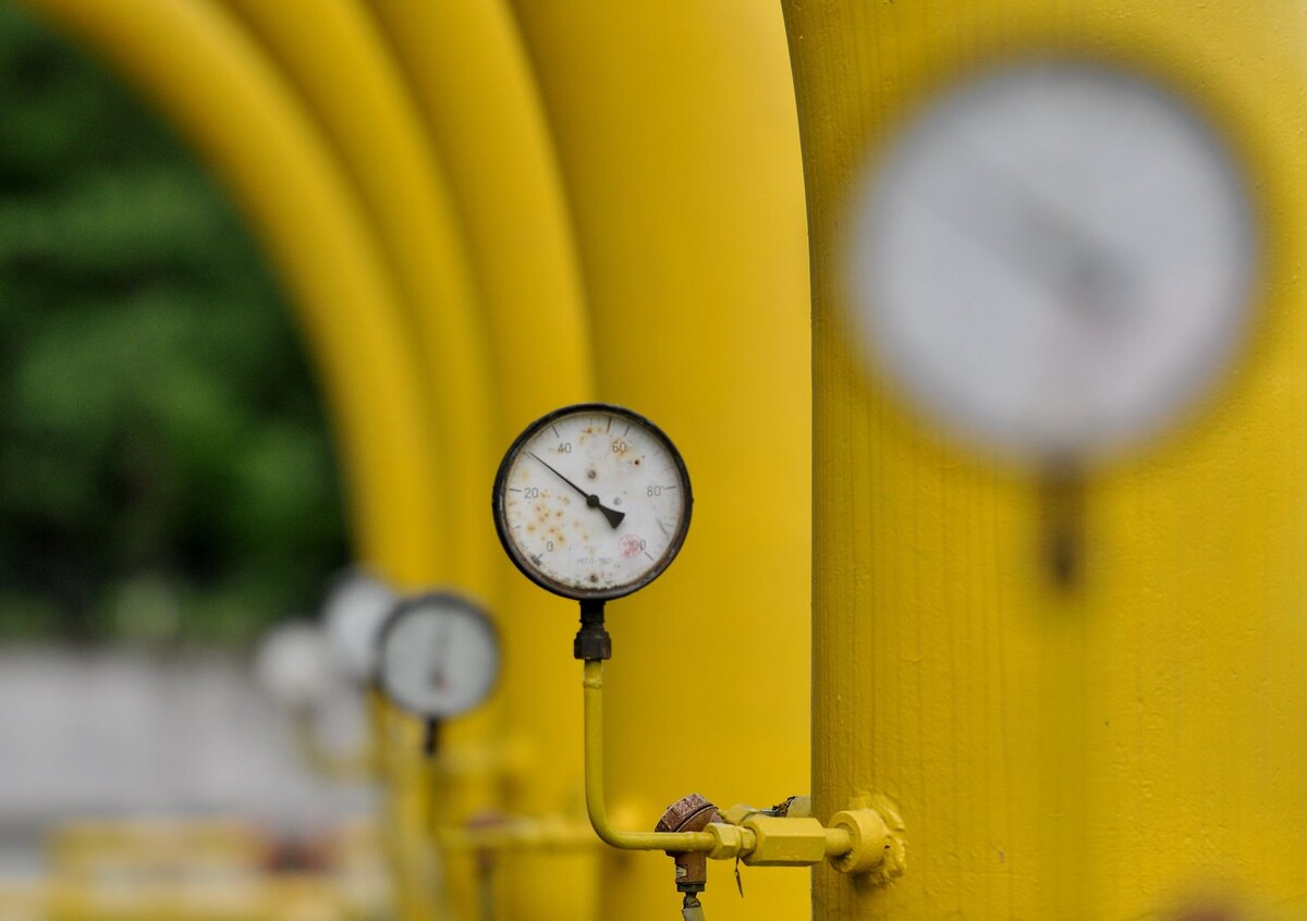     / Источник: © Danil Shamkin/Global Look Press