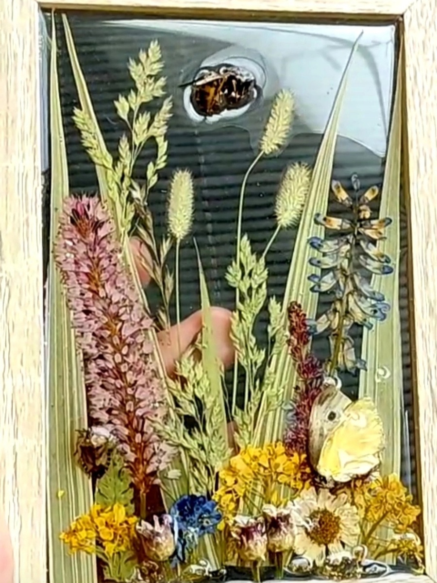 Полевые травы и оса