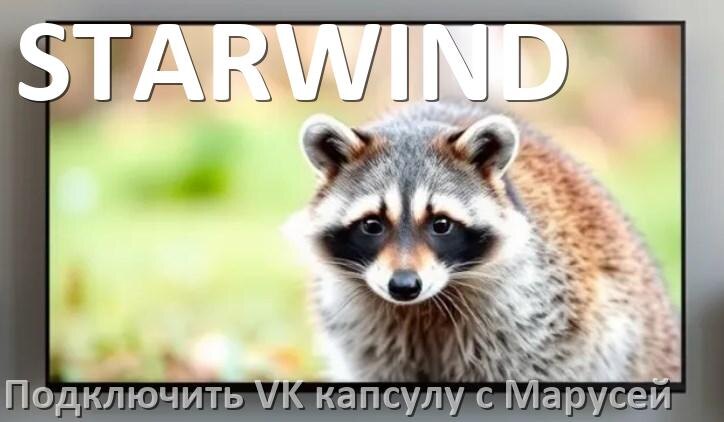 
Как к телевизору STARWIND подключить Марусю колонку VK капсула через Wi-Fi