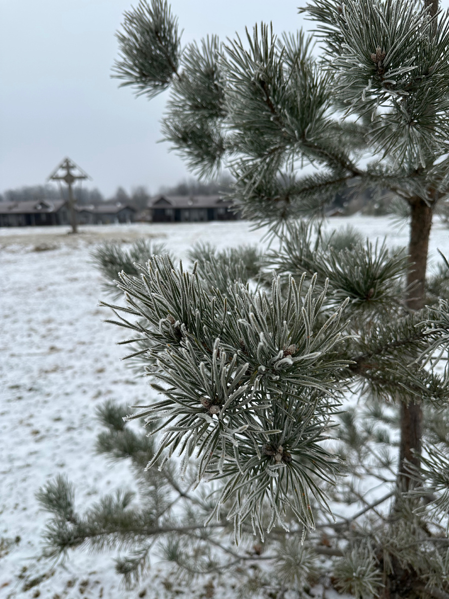 Эко-отель «Лепота»