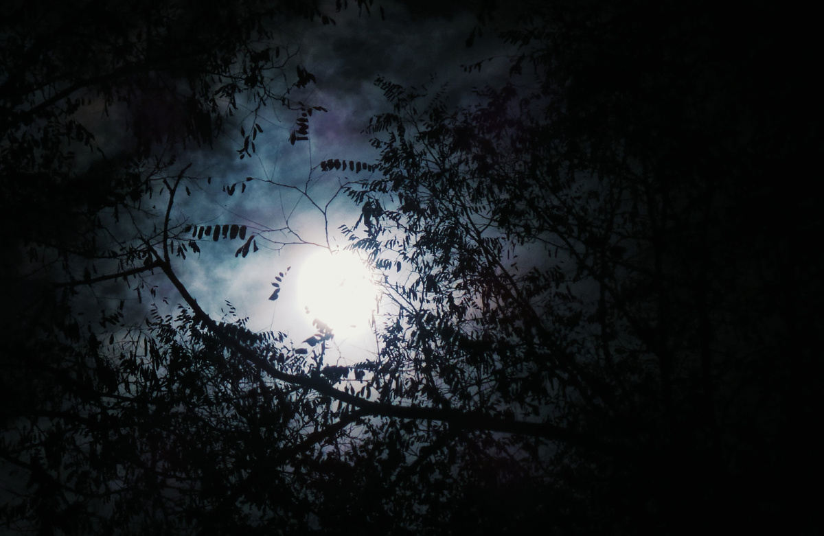 Фото: John Silliman с сайта unsplash.com