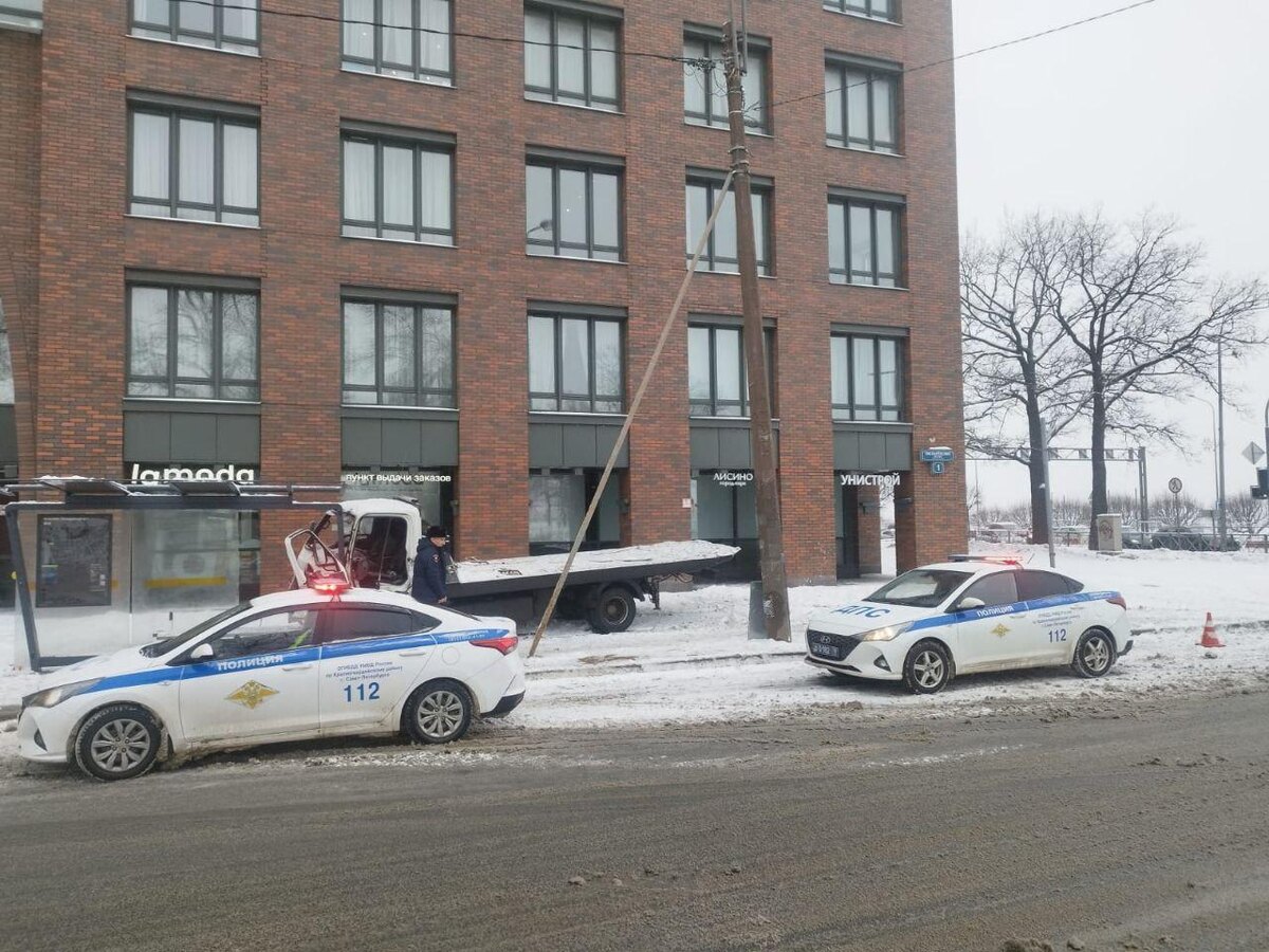 Фото: пресс-служба Красногвардейского района Петербурга