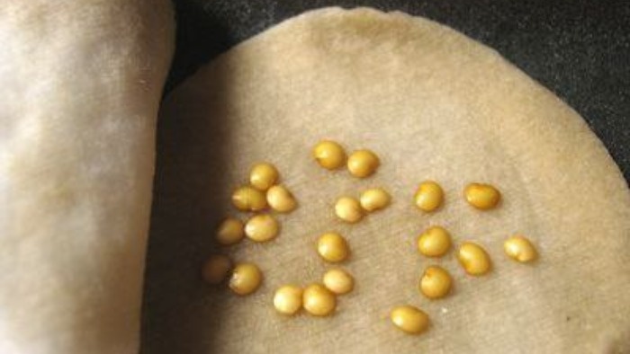 Замачивание на ватных дисках. Фото с pinterest.com