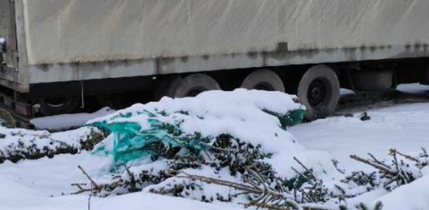    Фото: скриншот обращения