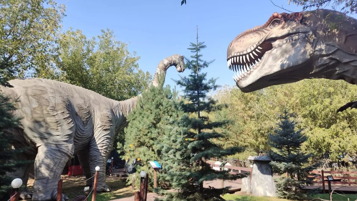     Источник: ЦПКиО