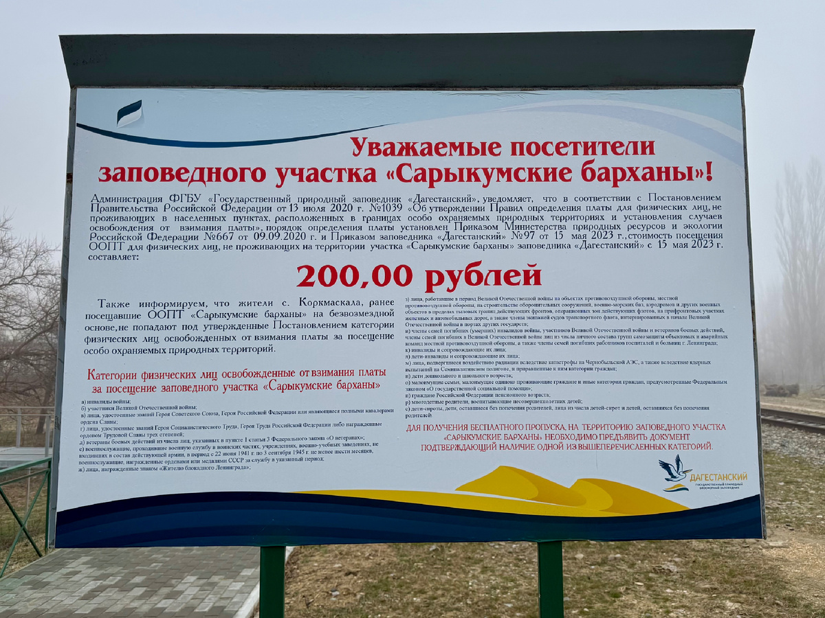 Бархан Сары-Кум. Дагестан. Фото автора.