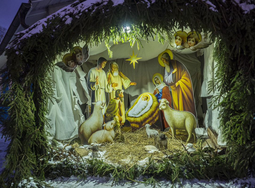 источник фото - fotokto.ru