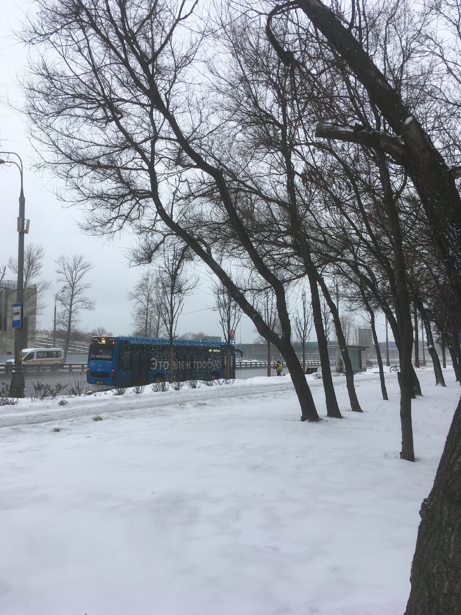 Праздничный электробус