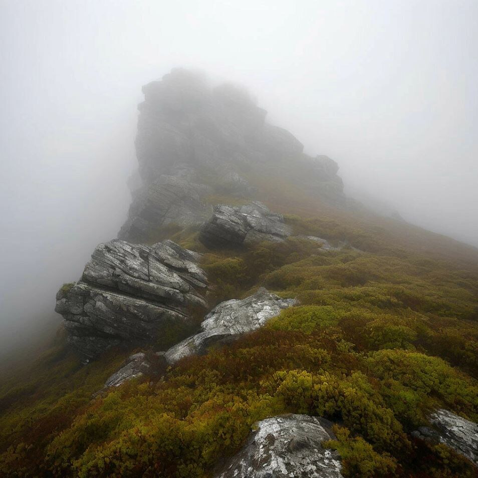 Иллюстрация создана автором при помощи нейросети