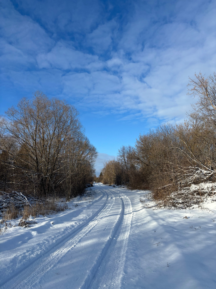 Глаз не оторвать от этой красоты 😍