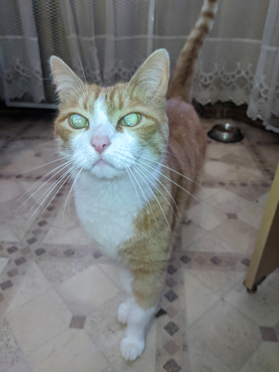 Фото из личного архива