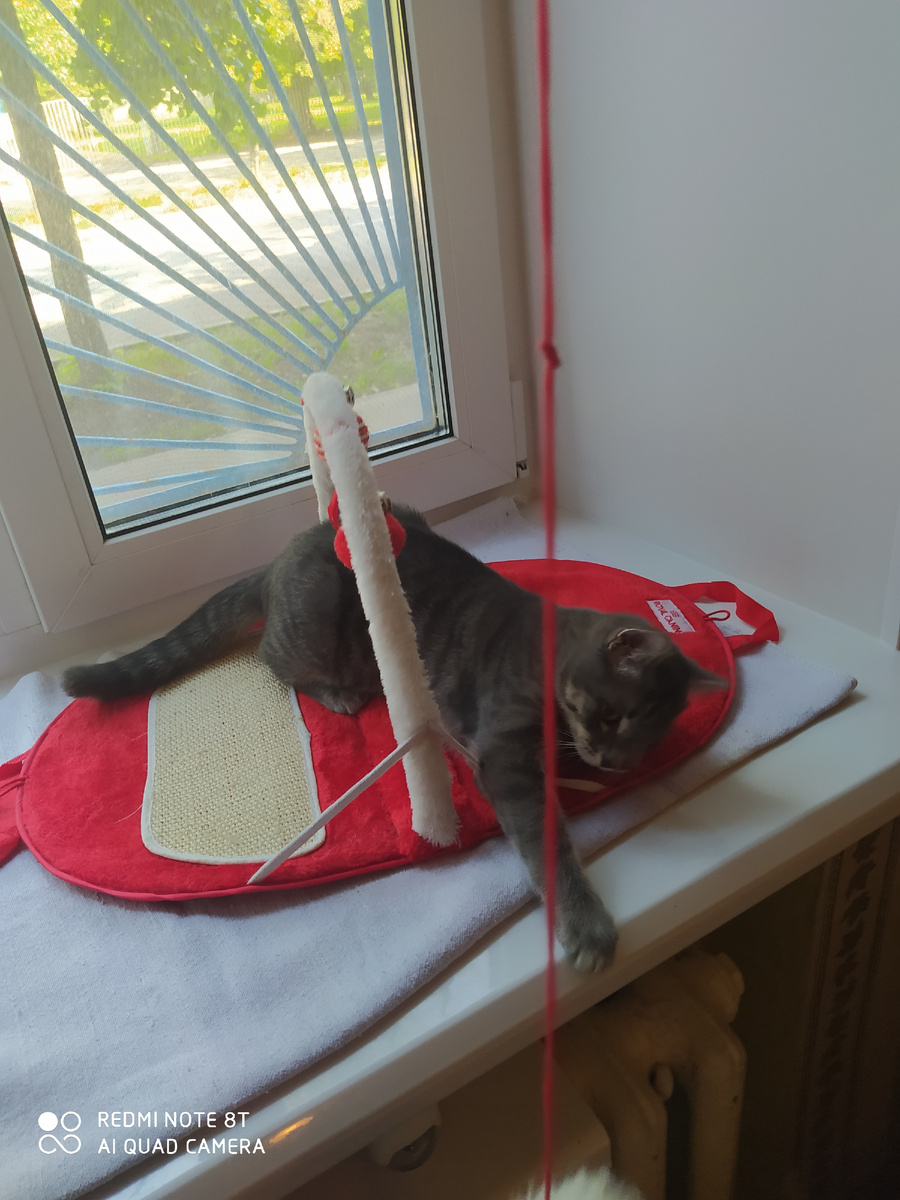 Фото из личного архива