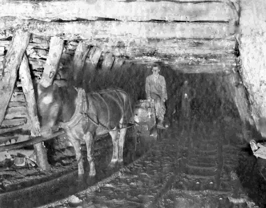 Коногон в Юзовке (Донецке). 