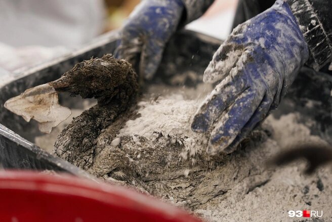 Добровольцам приходится конфликтовать со всеми, кто пытается вмешаться в процесс спасения птицИсточник:Дарья Паращенко / 93.RU