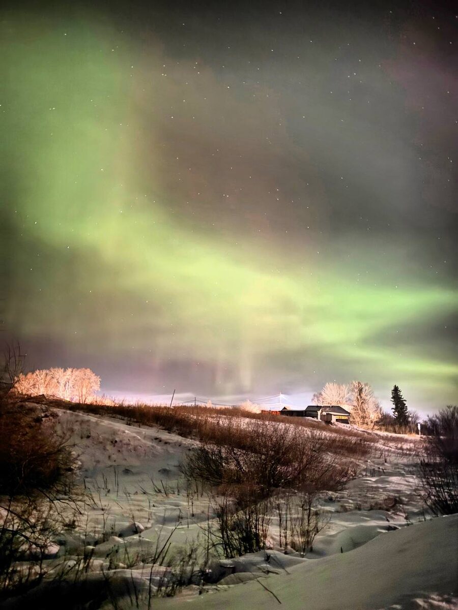 Фото из чата