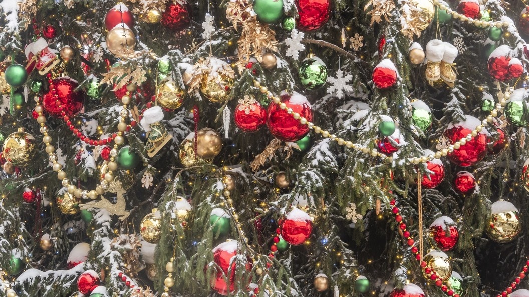    Konstantin Kokoshkin/Global Look Press