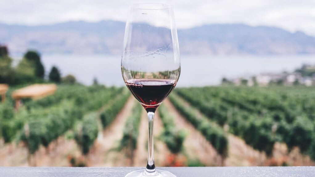 7 января, 2025   БРИКС, Импорт, Российский рынок, Сельское хозяйство, Торговля 