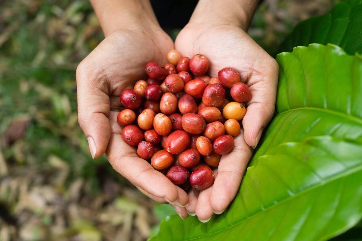 Фото из открытых источников Яндекса