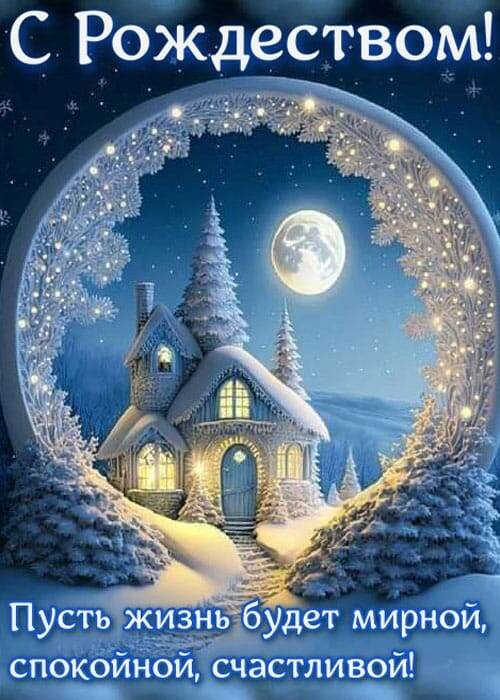 Картинка из чата ватсап