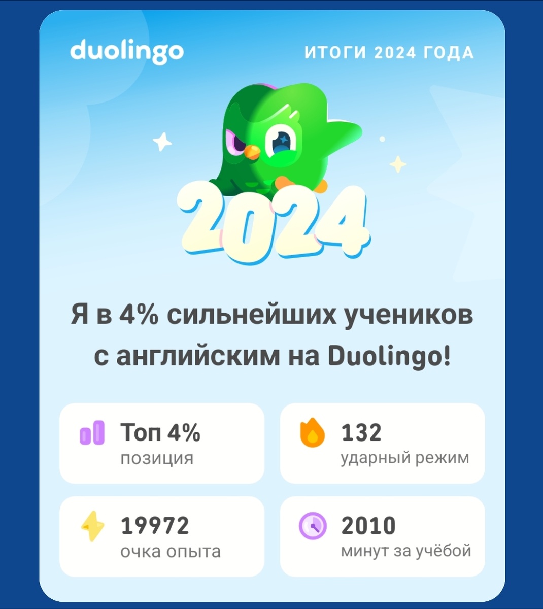 Моя статистика в приложении за 2024год