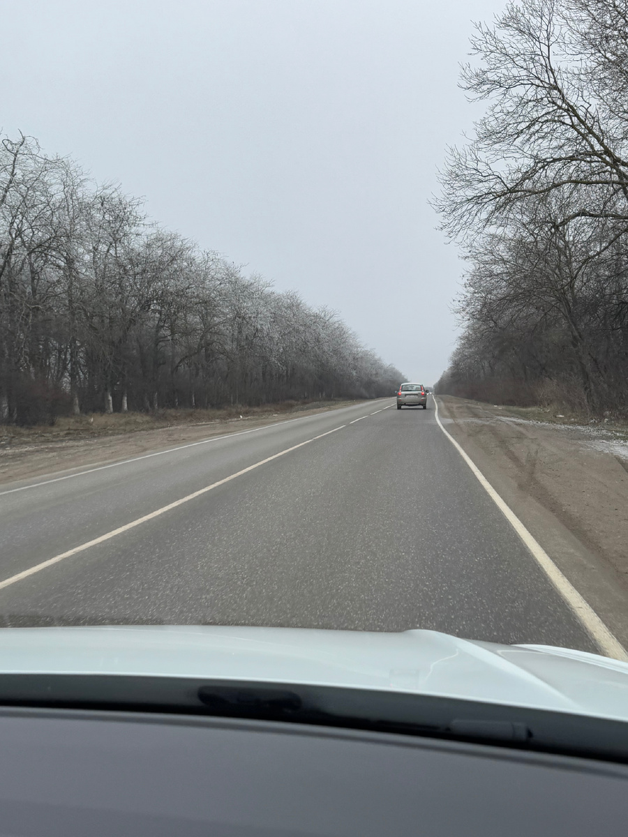 фото Сад в стиле Paradise @