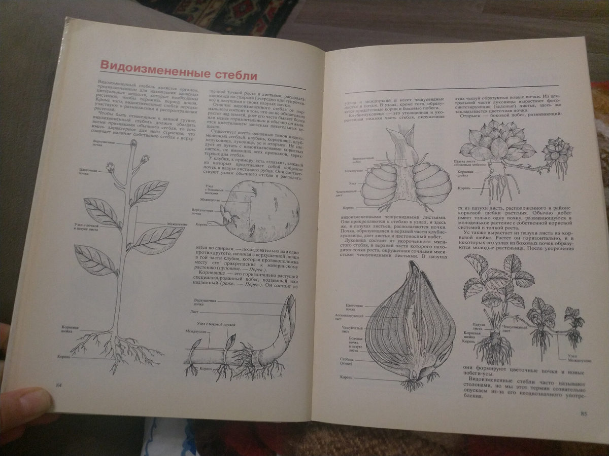 Ну красота же!