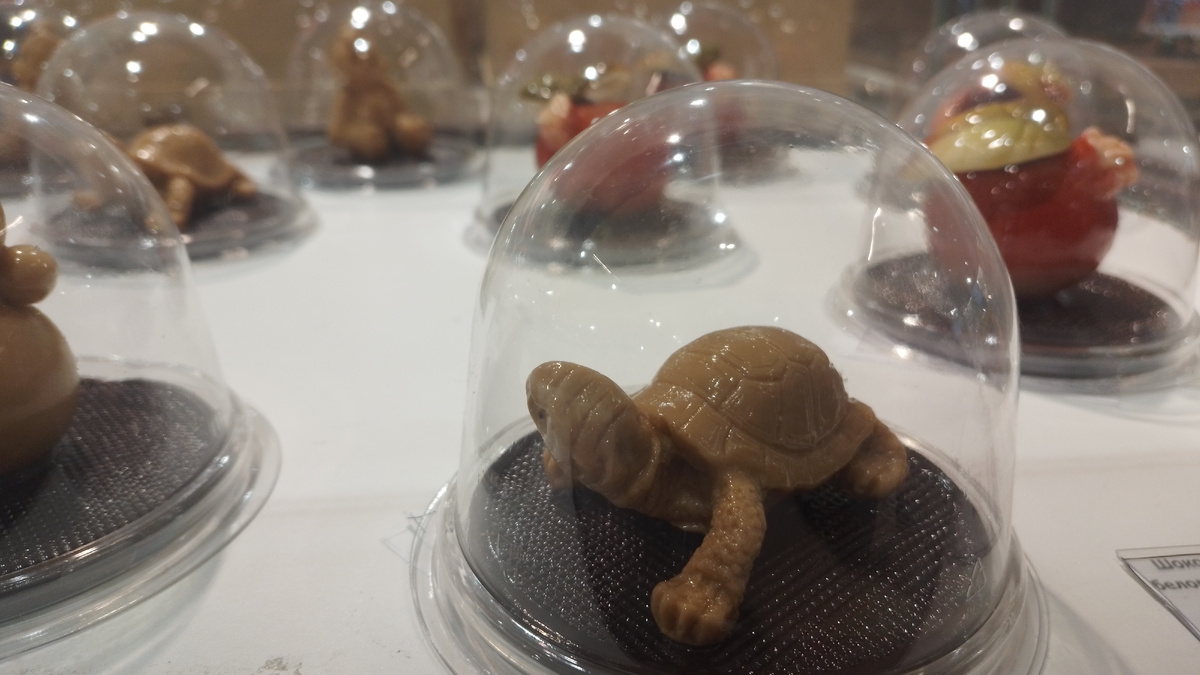 Я как владелец  черепах -одобряю.