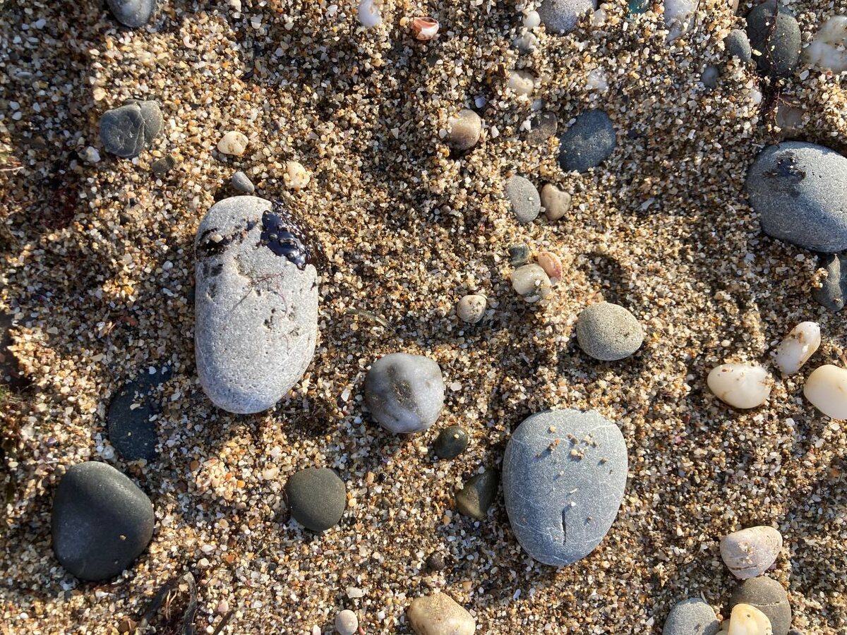 Мазут на пляже