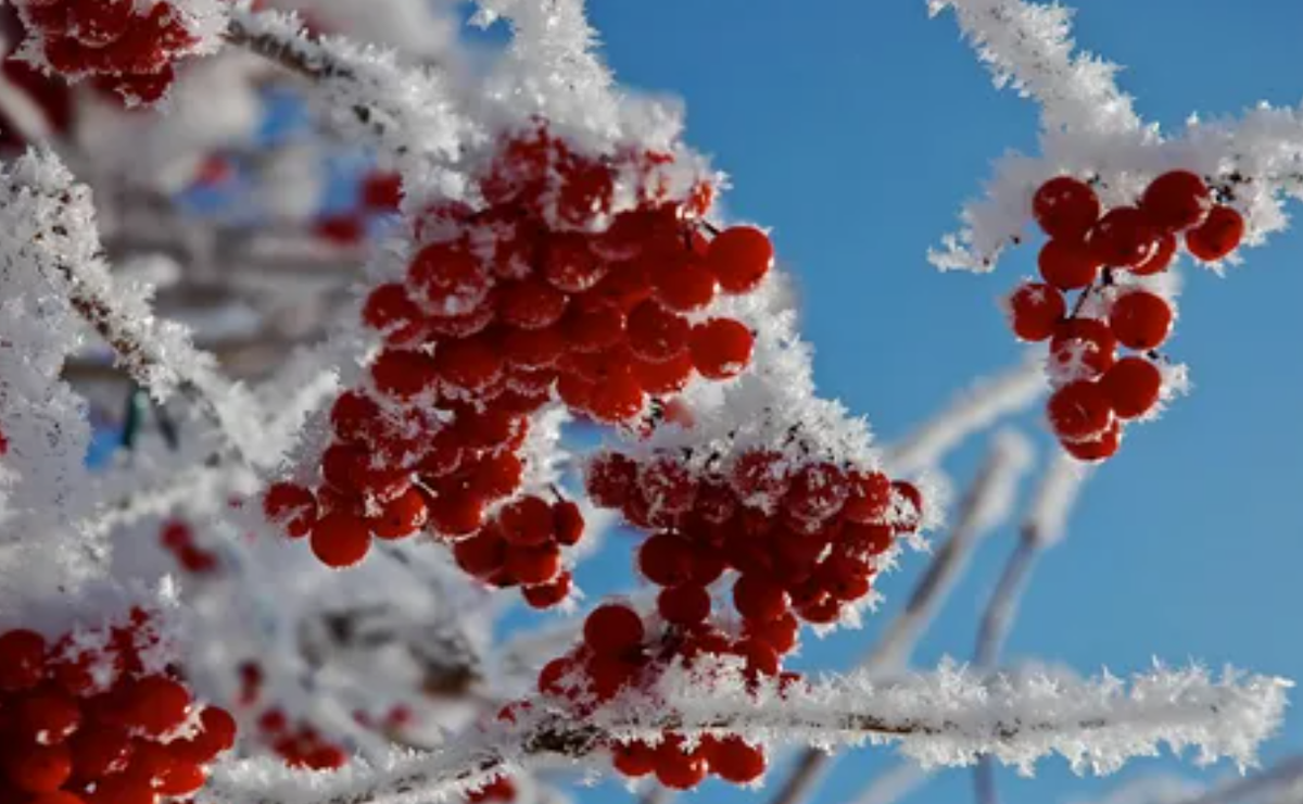 Фото из интернет. Не несет смысловой нагрузки, просто для красоты