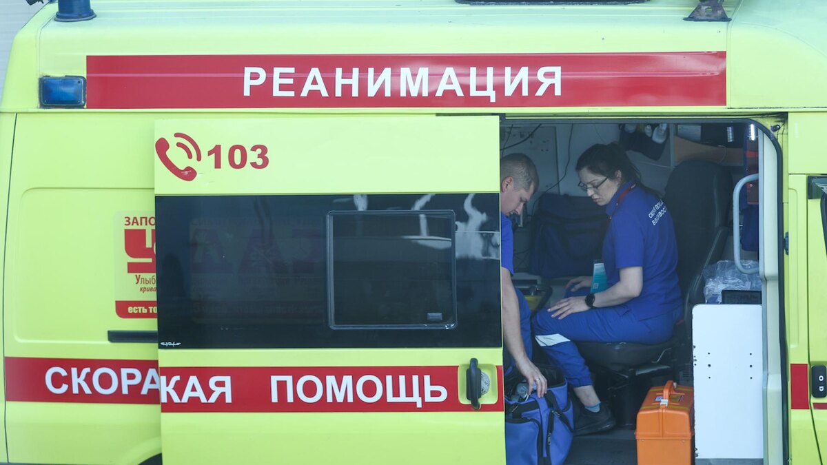    Фото: Petrov Sergey/news.ru