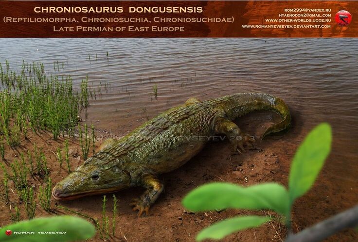 Хрониозавр от Романа Евсеева.