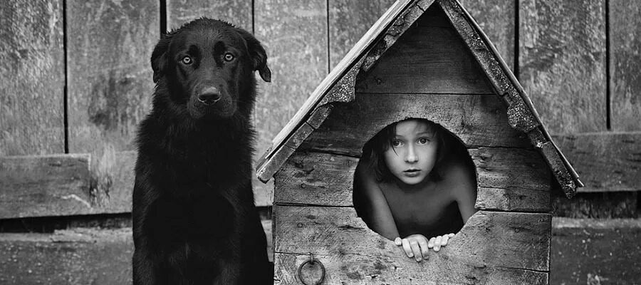 Из Яндекс картинок для иллюстрации 