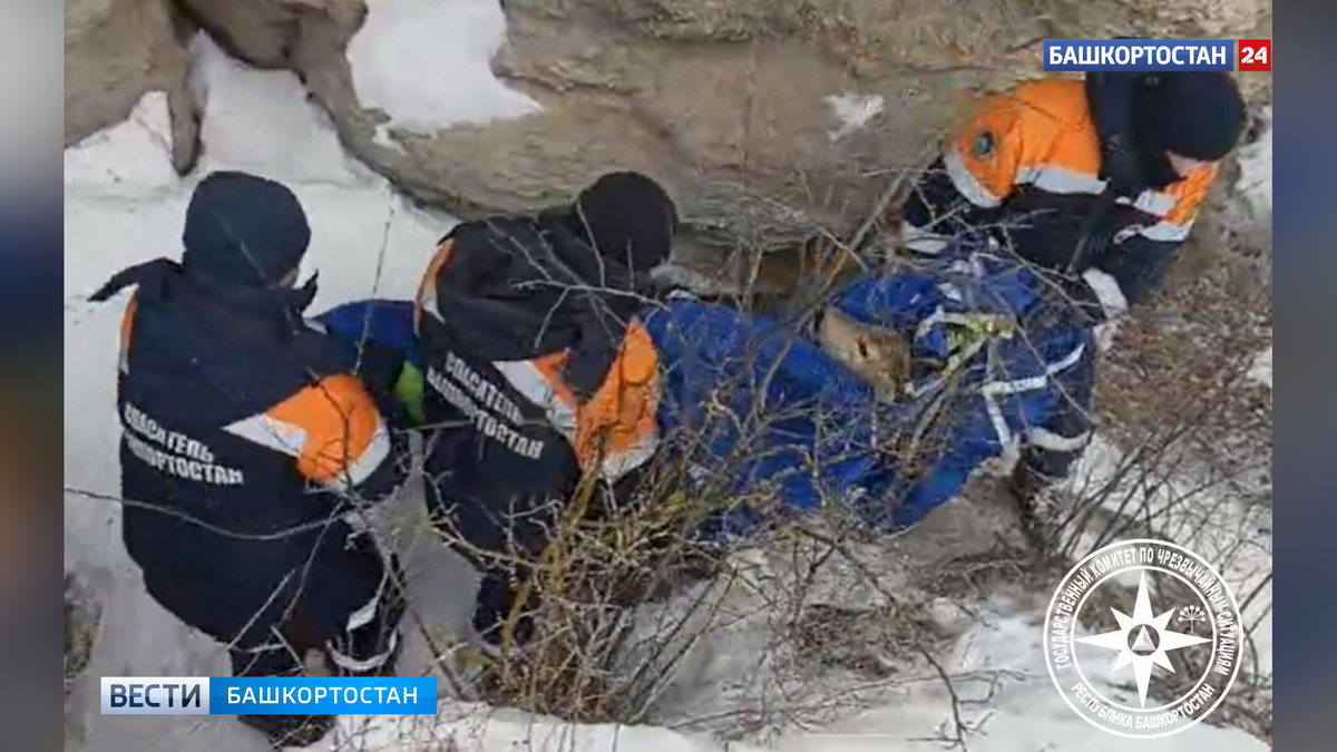    В Башкирии спасатели помогли косуле, упавшей в ущелье