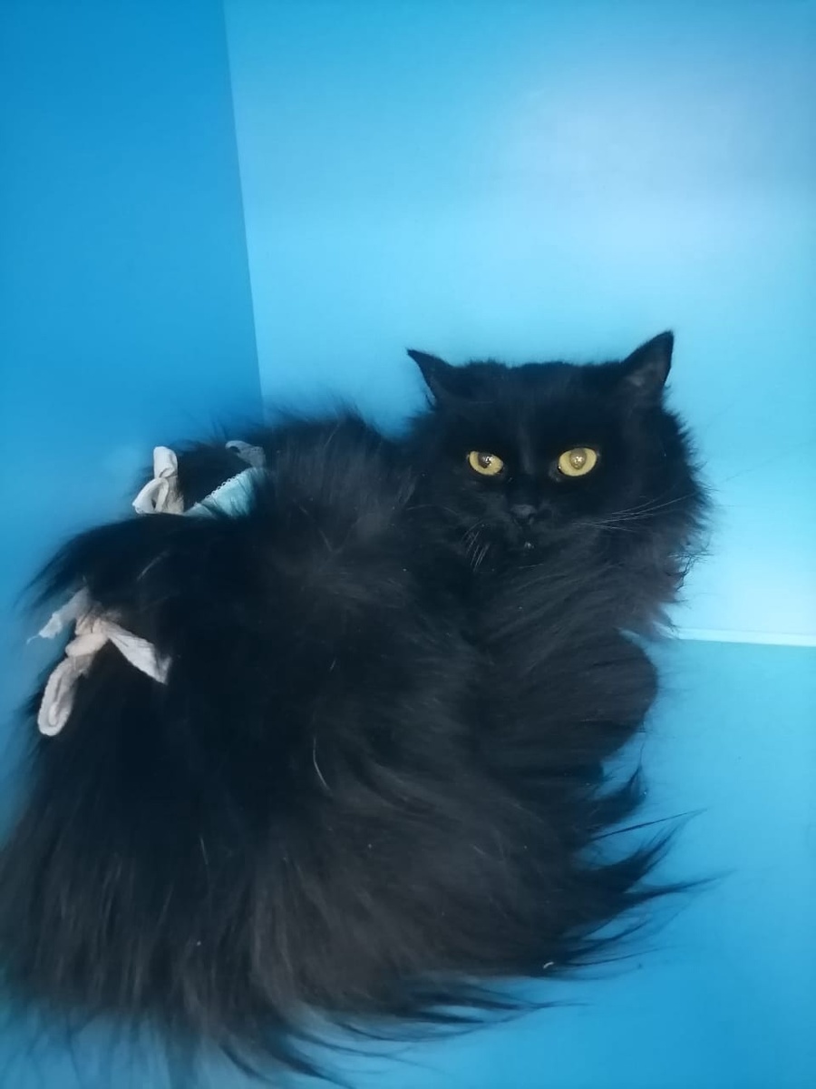 В Зооцентре