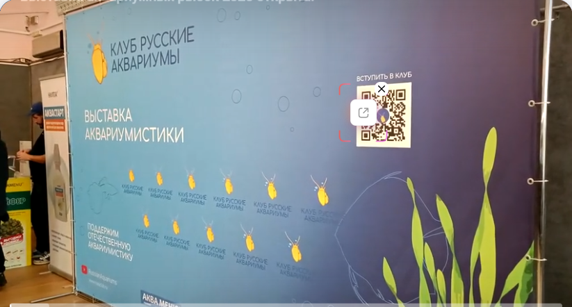 Объявление о выставке. Отзыв,  впечатления, Ист - скрин https://vkvideo.ru/video-202788560_456239184?ref_domain=yastatic.net