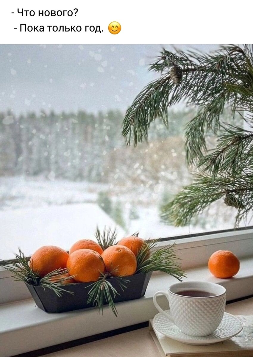 Картинка взята со страницы цветочной феи из нашего города Светланы, учителя биологии и географии. И очень светлого человека с лучистыми глазами цвета весеннего неба... 