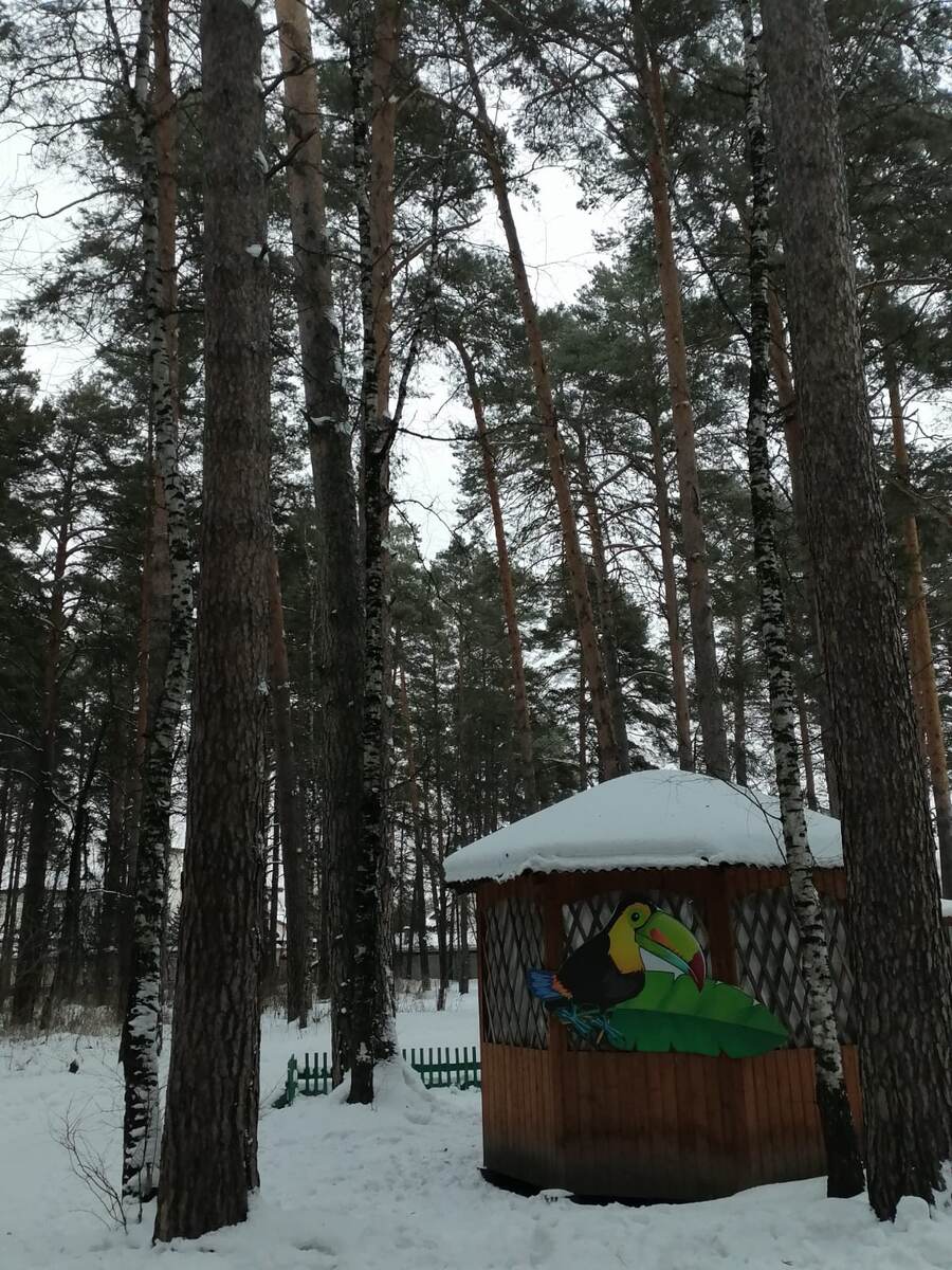 фото автора 