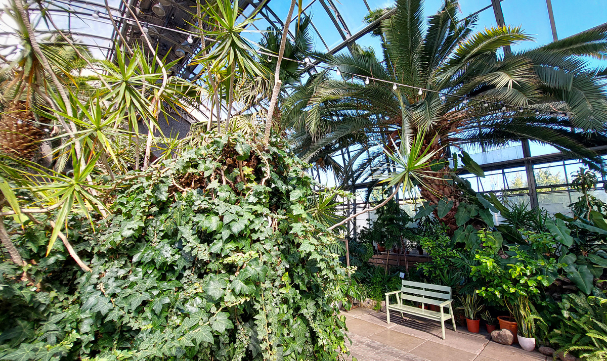 Это снимала в июле