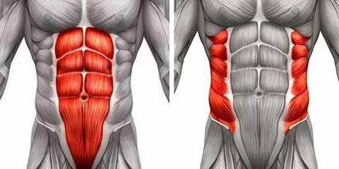 Фото взято с Яндекс пратформы