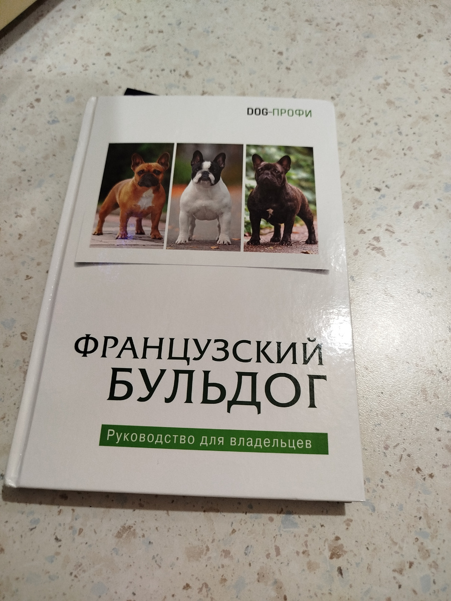 Моя новая книга 