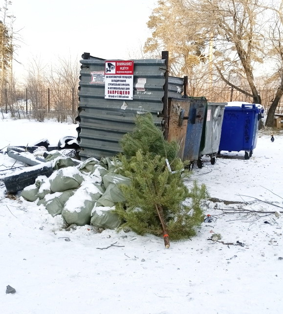 фото сделано на Рождество 7 января 2024 г. (14 час 37 мин) 