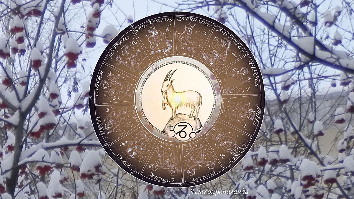 Гороскоп на январь 2025 для Козерога. Гороскоп для Козерога с 6 января по 2 февраля 2025. 