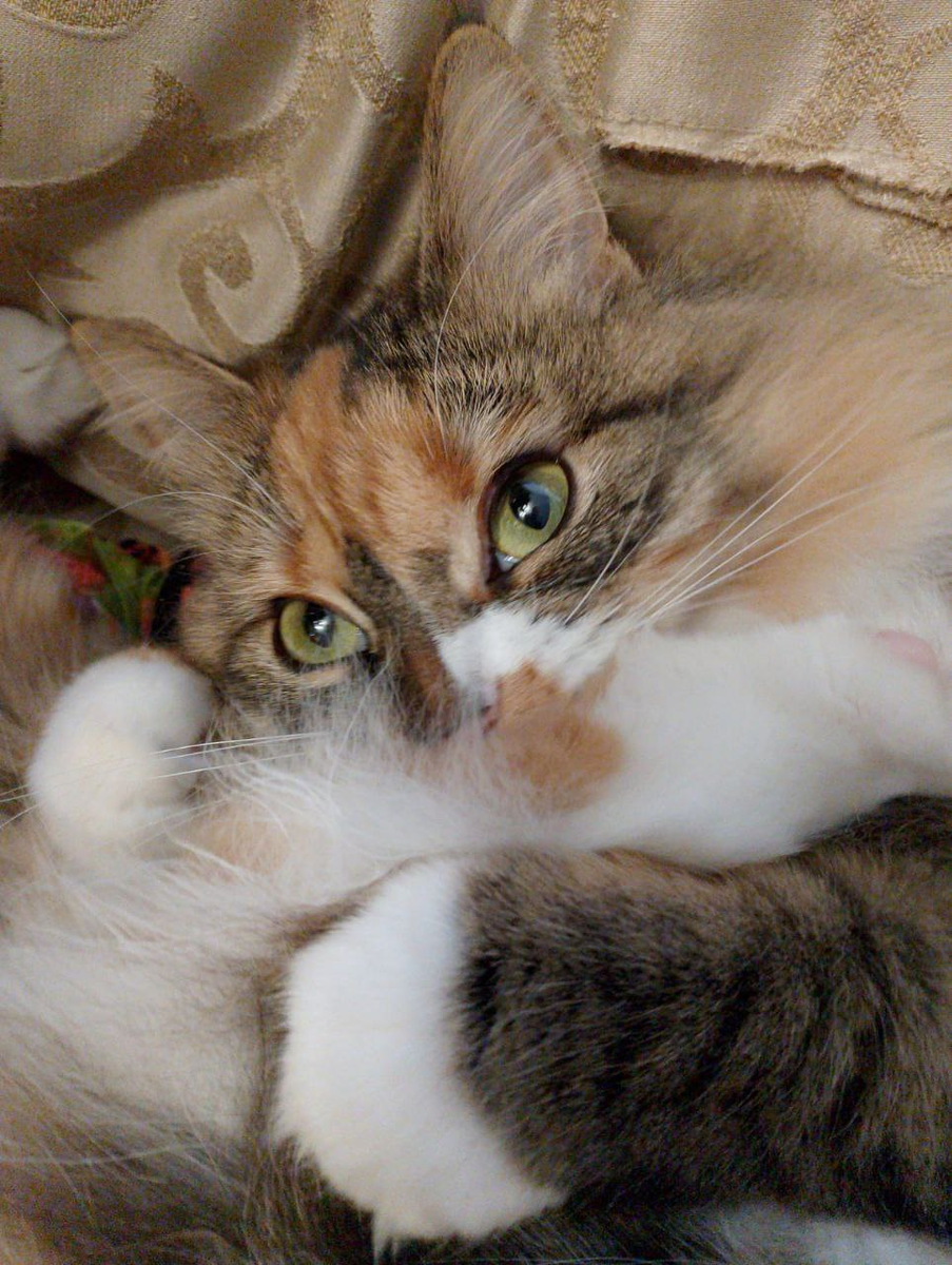 Нос мёрзнет, блин!