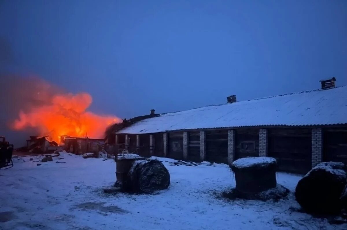    После гибели годовалого ребёнка в Тверской области проводится проверка