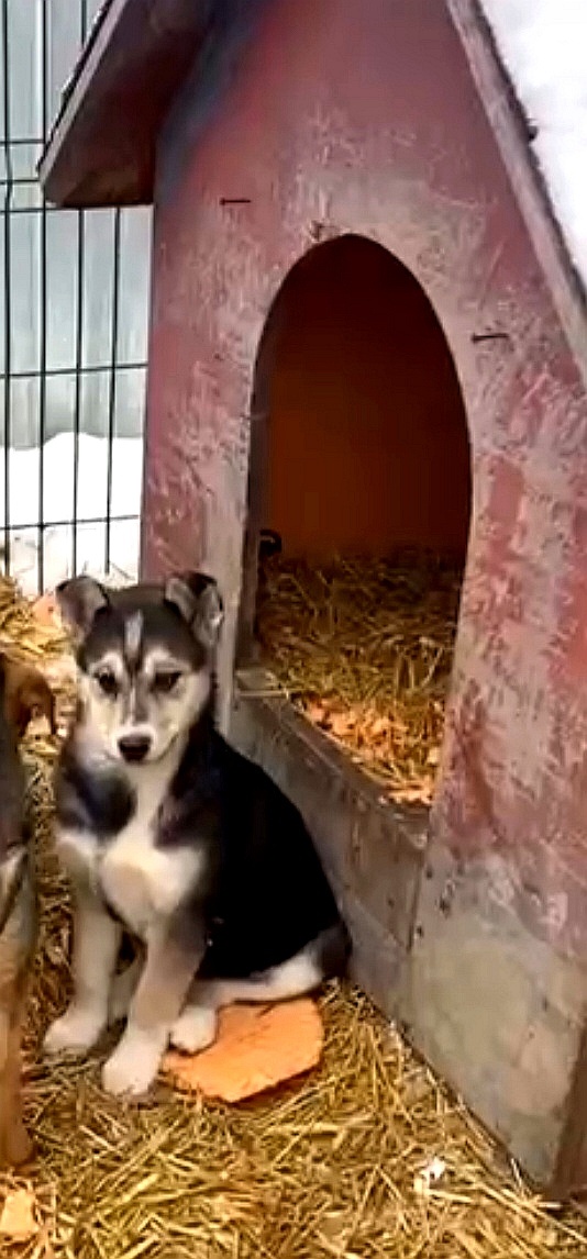 Мишель в новом вольере 🩷