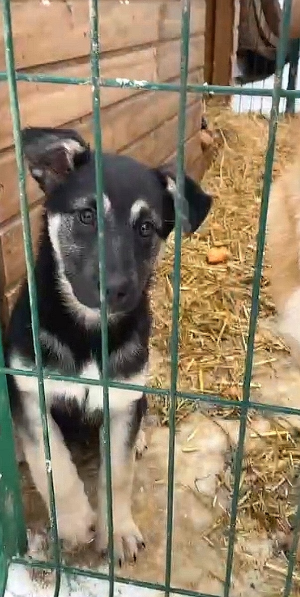 Розочка в новом месте ❤️