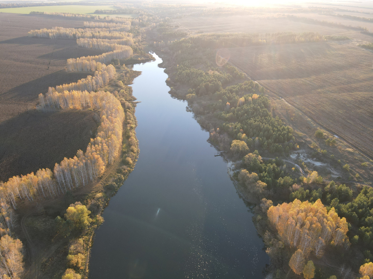 фото комаровского пруда с квадракоптера