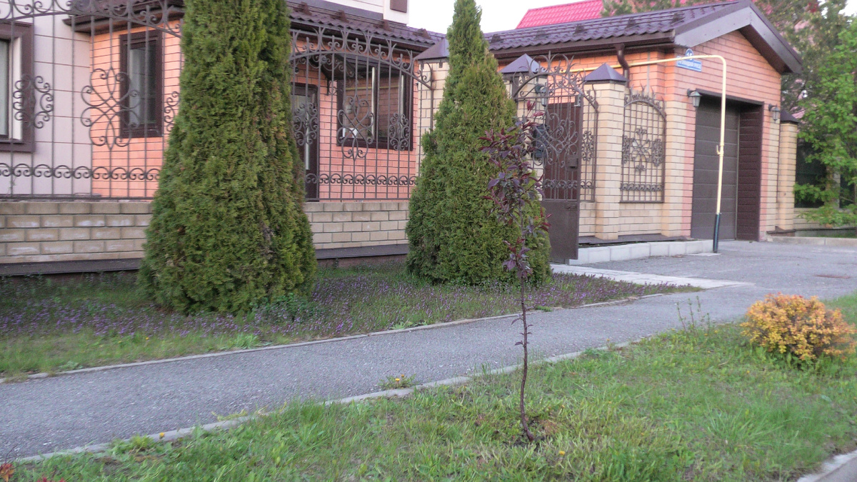 Фото из личного архива